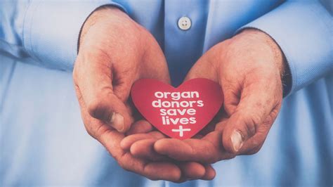 The Significance of Organ Donation: Preserving Lives Through Generous Contributions