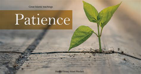 The Significance of Patience in Rekindling Connections