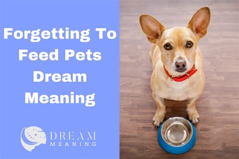 The Significance of Pets in Interpreting Dreams