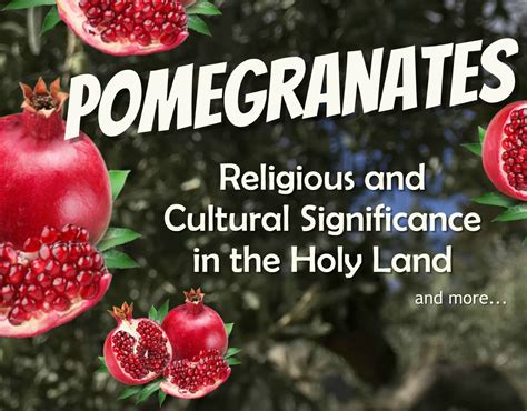 The Significance of Pomegranate in Signifying Wealth and Success: Exploring Cultural Beliefs and Traditions