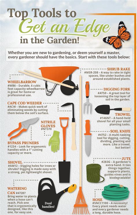 The Significance of Proper Garden Upkeep