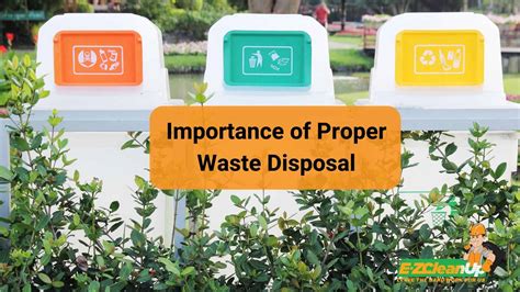 The Significance of Proper Waste Management for Pet Owners