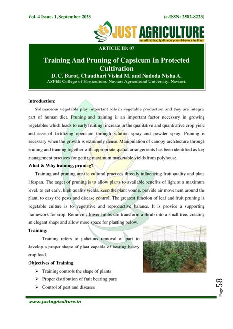 The Significance of Pruning and Training: Sculpting the Growth of Capsicum Plants for Enhanced Crop Production