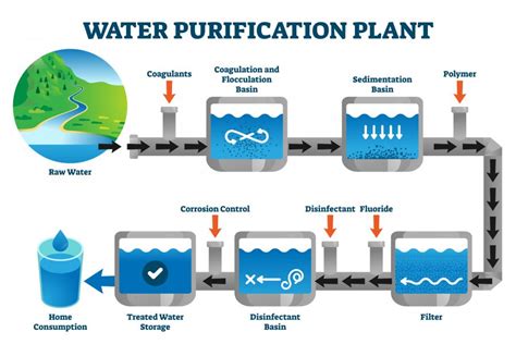 The Significance of Purified Water in Aquariums