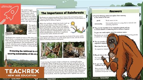 The Significance of Research and Study in Comprehending Orangutan Behavior