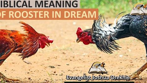 The Significance of Roosters in Dream Psychology