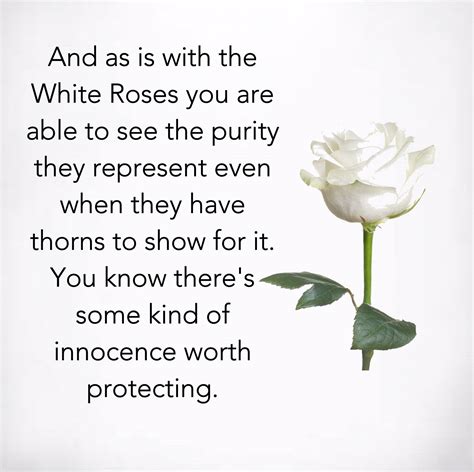 The Significance of Roses in Conveying Comradeship and Gratitude