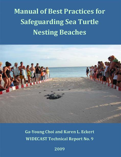 The Significance of Safeguarding Sea Turtle Environments