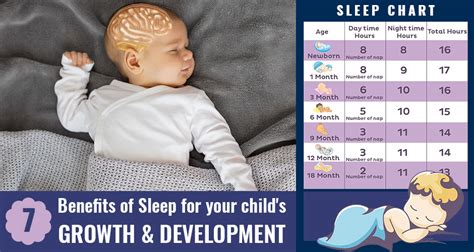 The Significance of Sleep for Infant Development