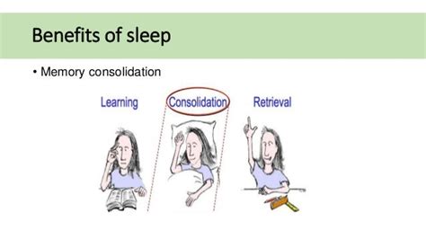 The Significance of Sleep in Enhancing Memory Consolidation