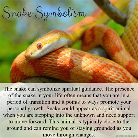 The Significance of Snake Symbolism