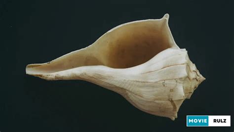 The Significance of Sound in the Blowing Conch Ritual