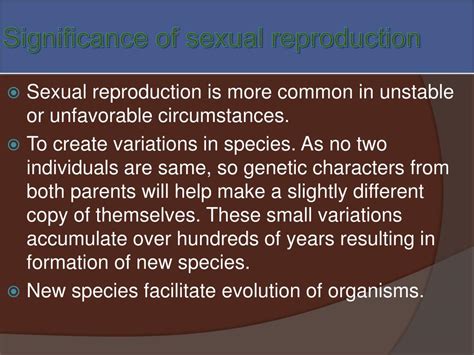 The Significance of Testicles in Reproduction and Sexual Expression