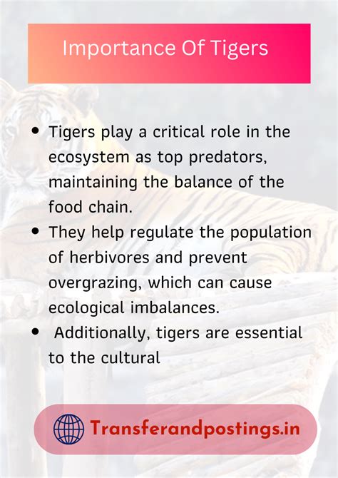 The Significance of Tiger Consumption in Culture