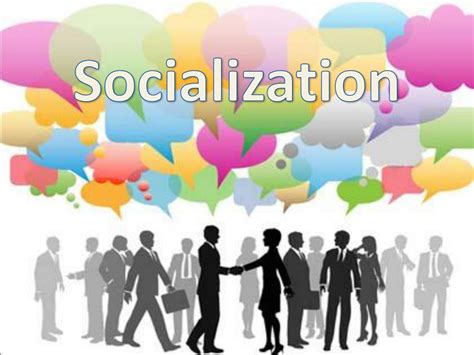 The Significance of Training and Socialization