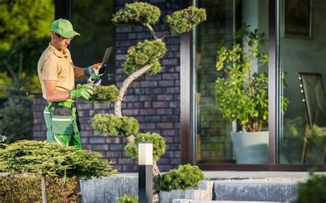 The Significance of Tree Pruning for Health and Visual Appeal