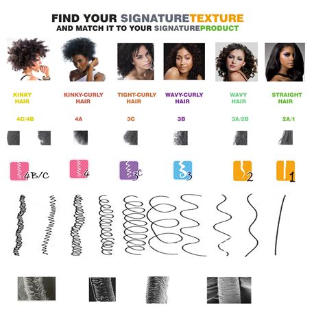 The Significance of Understanding Your Hair Type