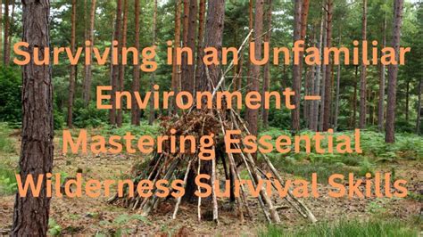 The Significance of Unfamiliar Environments in Uncovering Inner Truths and Personal Evolution