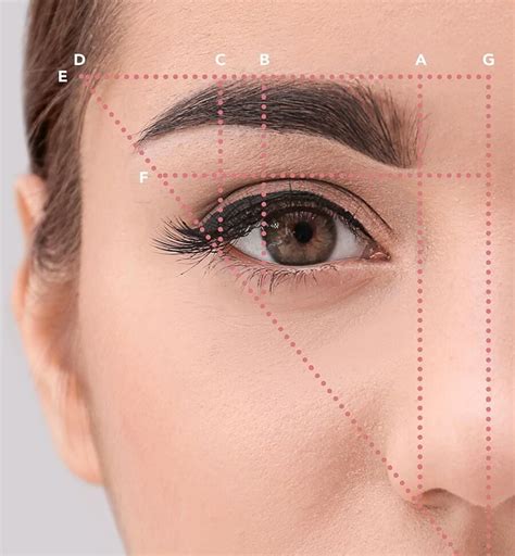 The Significance of Well-Maintained Brow Shapes