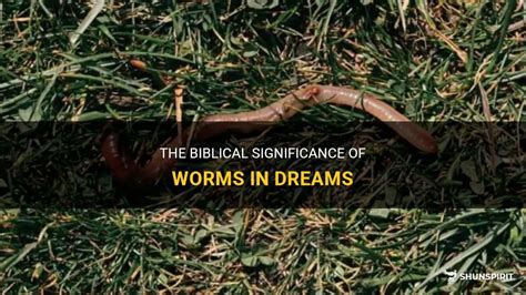 The Significance of Worms in Dreams: Deciphering the Cryptic Significance