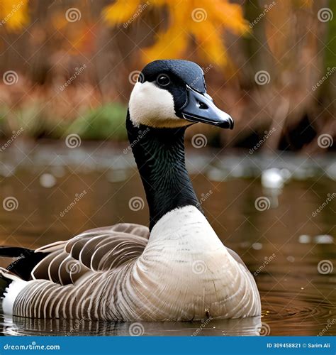 The Significance of a Gathering of Waterfowl: Exploring the Depth behind Dream Symbolism