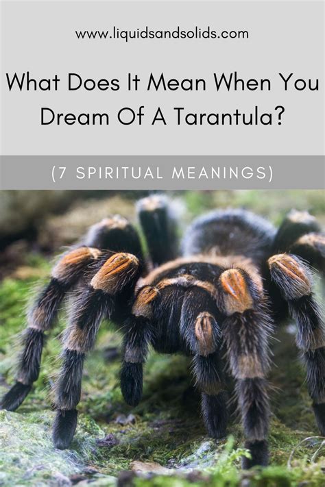 The Significance of a Massive Tarantula in Dream Imagery