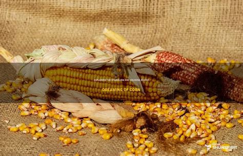 The Significance of a Plentiful Corn Harvest: Exploring the Symbolism and Interpretation of this Dream