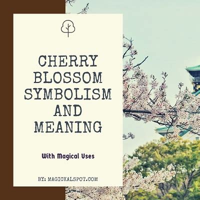 The Significance of a Solitary Crimson Blossom: Exploring its Symbolism in Matters of the Heart and Romance