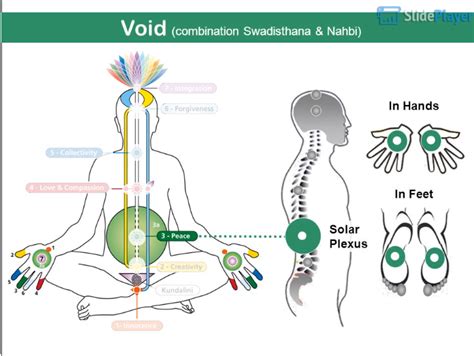 The Significance of a Void in the Palm