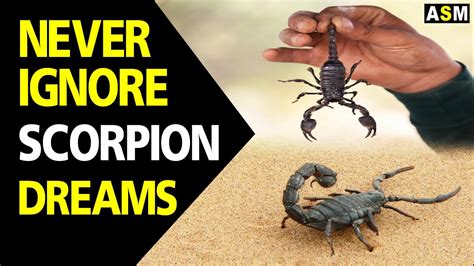 The Significance of an Enormous Scorpion in Dreams