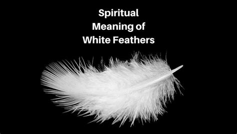 The Significance of the Big White Feather in Spiritual Matters