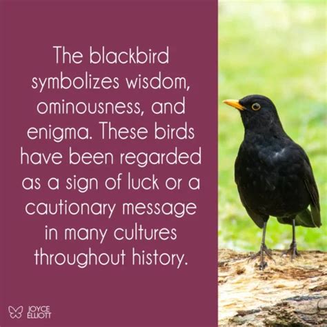 The Significance of the Blackbird in Literature, Art, and Folklore