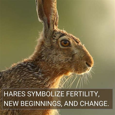 The Significance of the Brown Hare: A Symbol of Fertility and Prosperity