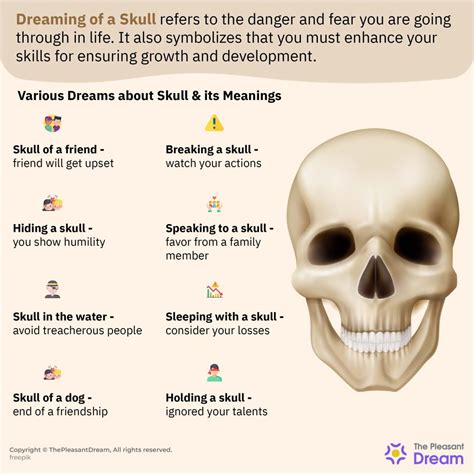 The Significance of the Cranium in Dreams