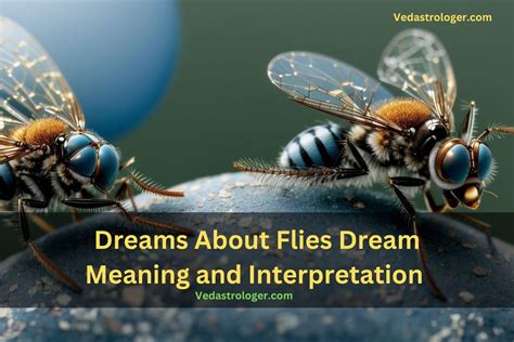 The Significance of the Fly Dream in Personal Growth and Transformation