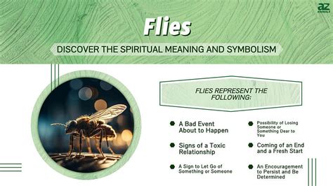 The Significance of the Fly in Spiritual and Religious Contexts