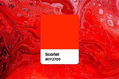 The Significance of the Scarlet Hue: Decoding the Meaning Embedded in Color