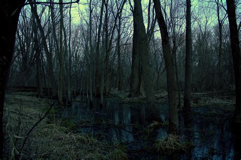 The Sinister Significance of Murky Marshlands: Exploring the Dark Connotations of Swamps