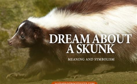 The Skunk: A Potent Archetype in Dreams