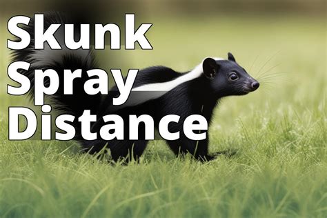 The Skunk as a Messenger of Caution and Defense