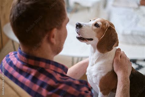 The Social Aspect of Small Dog Ownership: Building Connections and Fostering Relationships