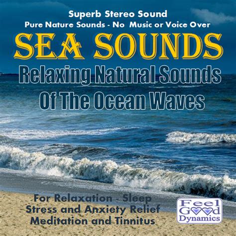 The Soothing Influence of Captivating Ocean Sounds