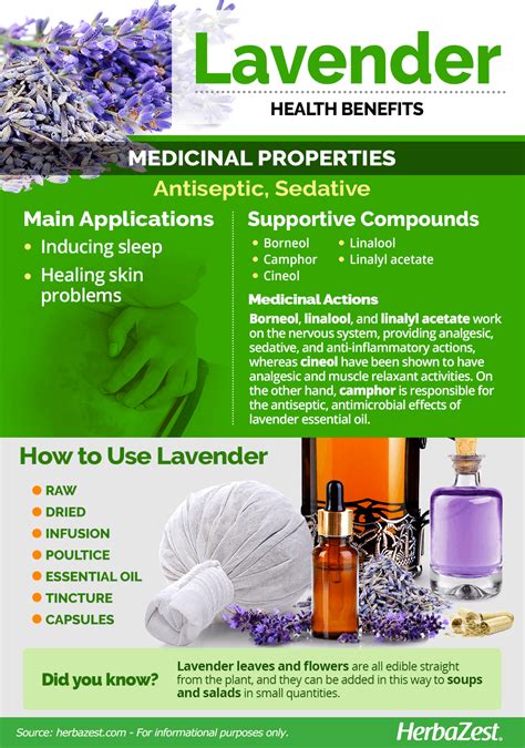 The Soothing and Medicinal Properties of Lavender in Traditional Healing