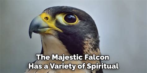 The Spiritual Connection between Falcons and Divinity