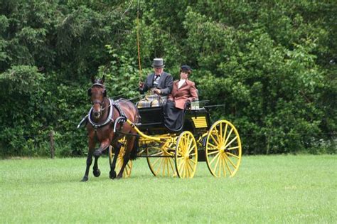 The Spiritual Significance of Fantasizing about an Ivory Carriage