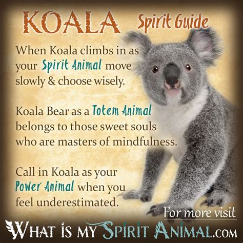 The Spiritual Significance of Koalas in Decoding Dreams