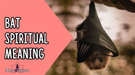 The Spiritual Significance of the Brown Bat: Exploring Inner Depth and Introspection