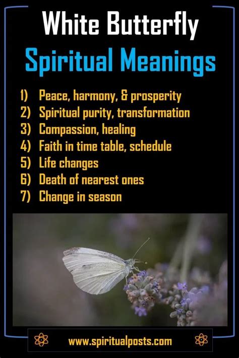 The Spiritual Significance of the Pale Butterfly in Dreams