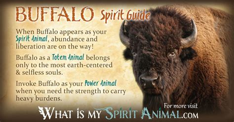 The Spiritual and Mythical Connections of the Bison