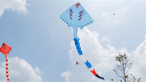 The Splendor in the Sky: Experiencing the Grandeur of Massive Kite Exhibitions